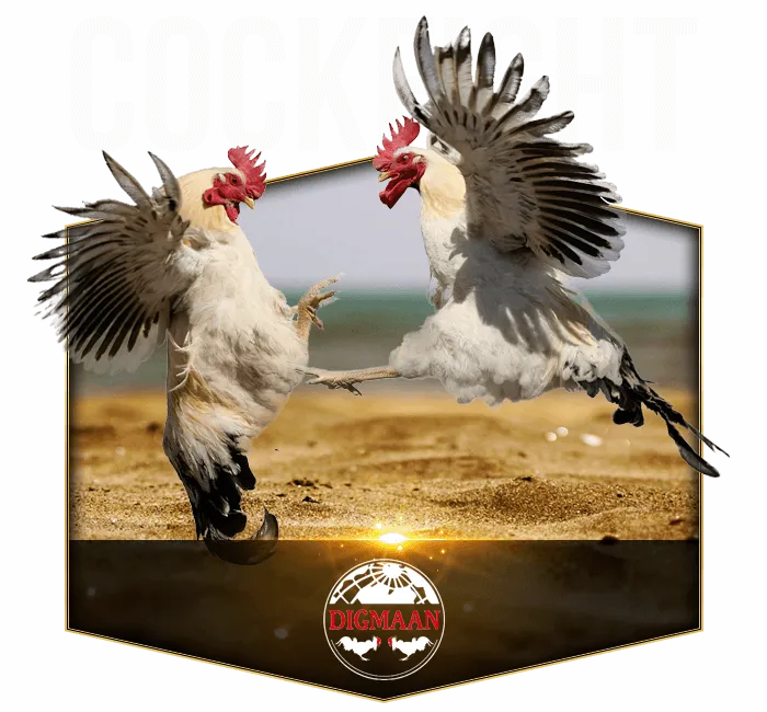 Digimaan Cock Fighting