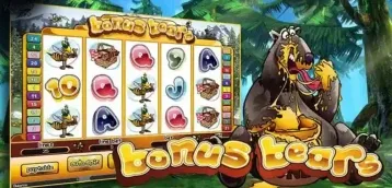 Casino Tips and Guides for Bonus Bears