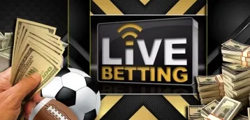 The 4 Best Sports for Live Betting