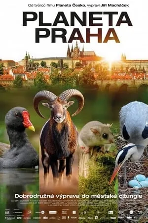 Planeta Praha (2022)