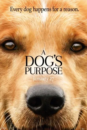 A Dog's Purpose (2017)