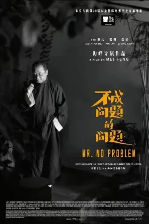 Mr. No Problem (2016)