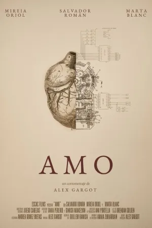 Amo (2014)