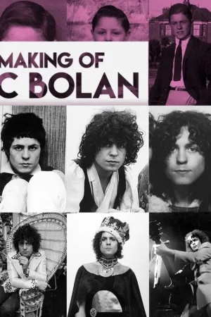 The Making of Marc Bolan (2017)