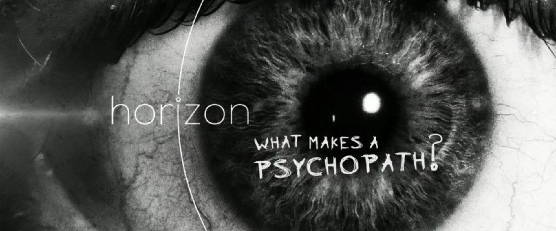 What Makes a Psychopath? (2017)