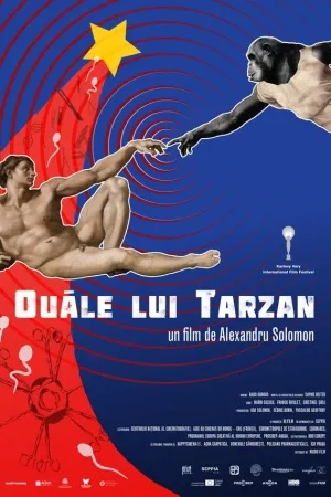 Tarzan's testicles (2017)