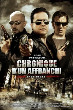 Chronique d'un affranchi (2011)