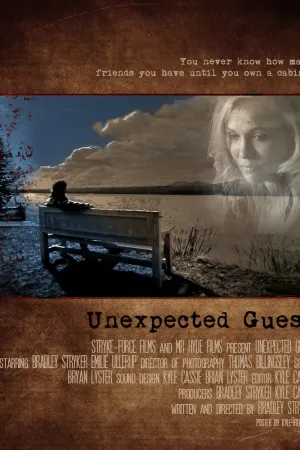 Unexpected Guest (2012)